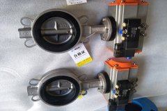 氣動(dòng)蝶閥的結構形式和特點(diǎn)？